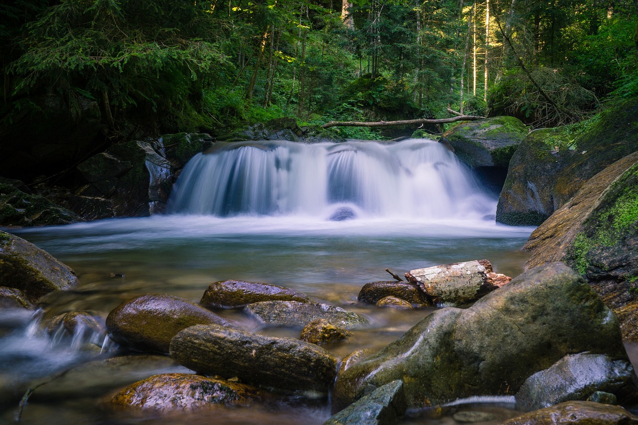 The Ultimate Guide to Exploring the Cascades